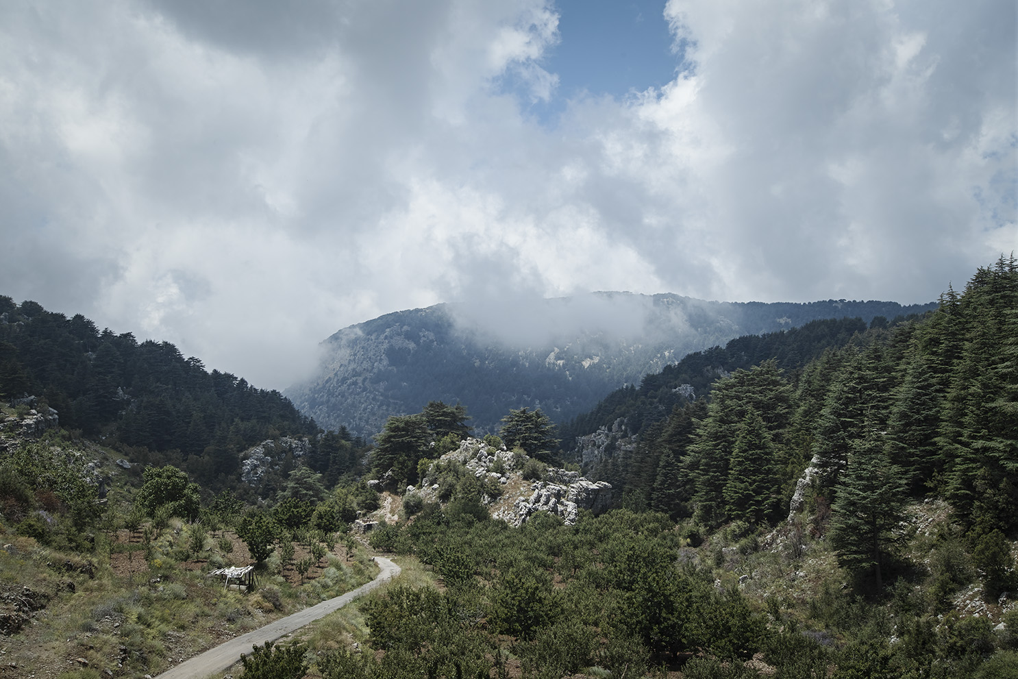 north Lebanon