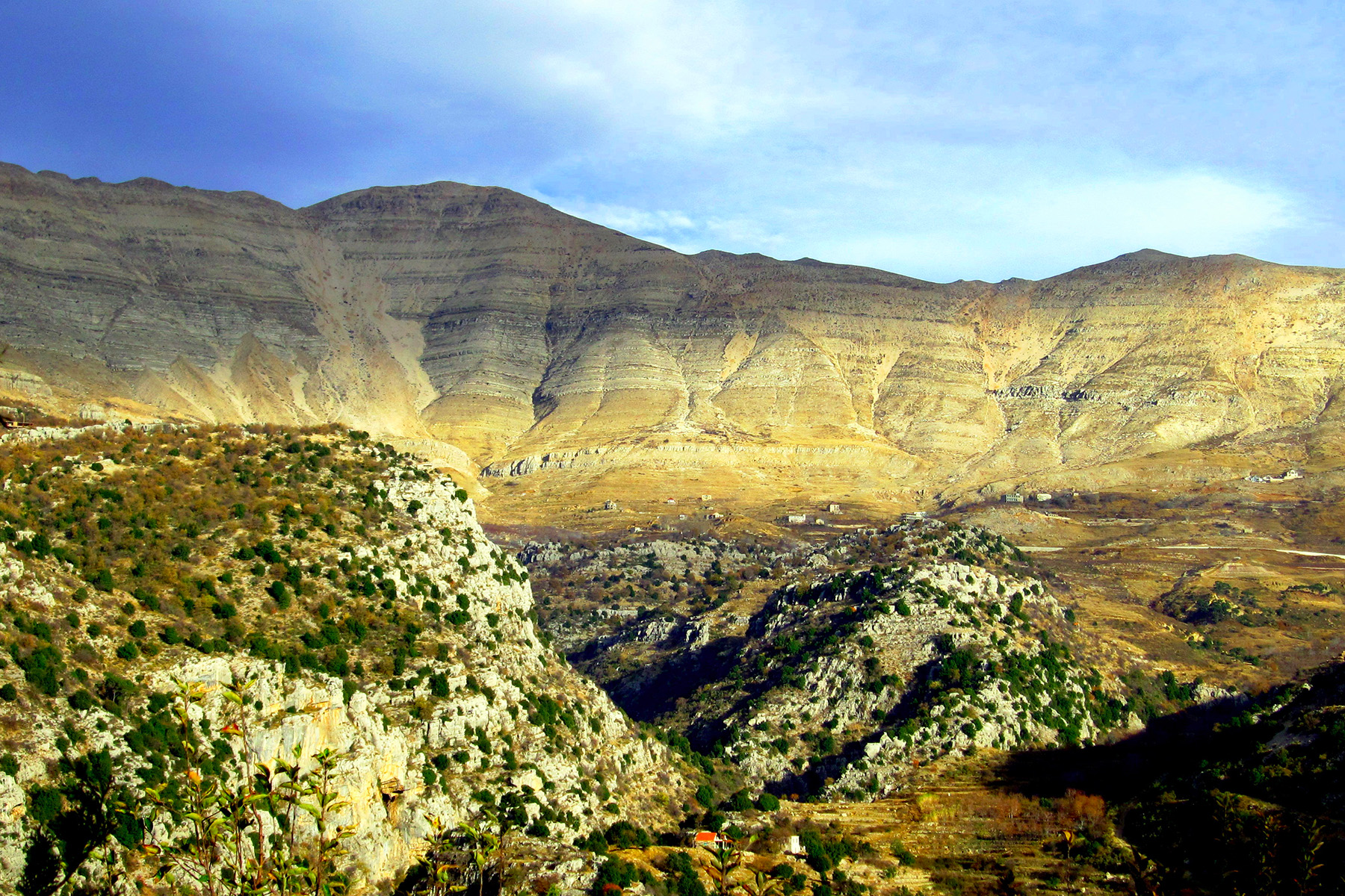 Full day taxi hire in Lebanon